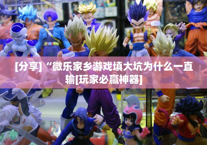 [分享]“微乐家乡游戏填大坑为什么一直输[玩家必赢神器]